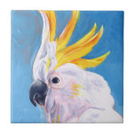 Neon Mohawk - Cockatoo Ceramic Tile<br><div class="desc">Neon Mohawk I by Jennifer Paxton Parker. A tropical cockatoo rocks a neon-colored mohawk. | 162732Z</div>
