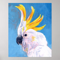 Neon Mohawk - Cockatoo