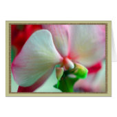Neon Orchid (Front Horizontal)