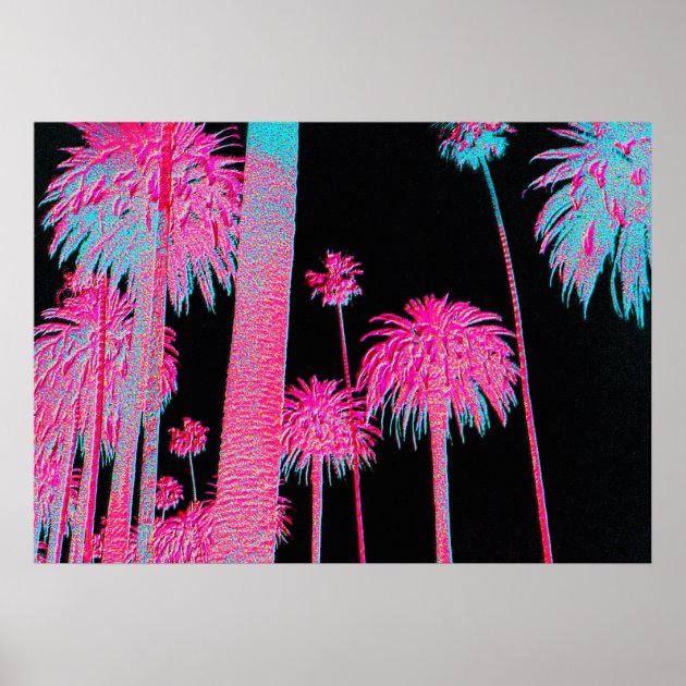 Miami Beach Florida Palm Tree Cool Wall Decor Art Print 