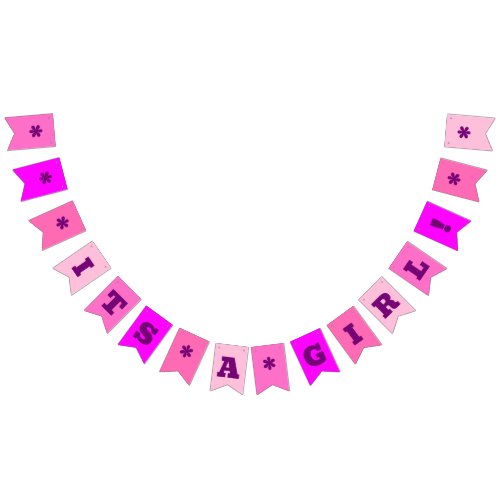 Neon Pink  Its a Girl   Custom Bunting Flags