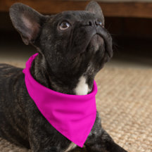 Neon Pink Solid Color Customize It