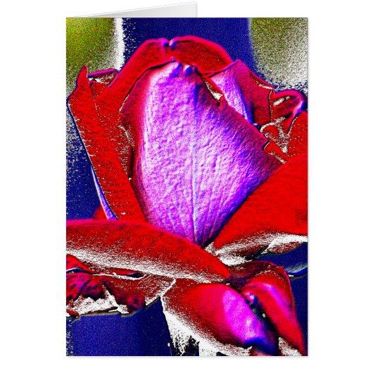 Neon Rose Cards (Front)