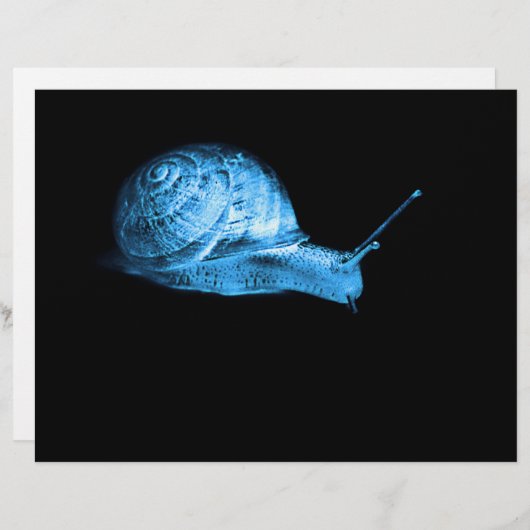 Neon snail (Front/Back)