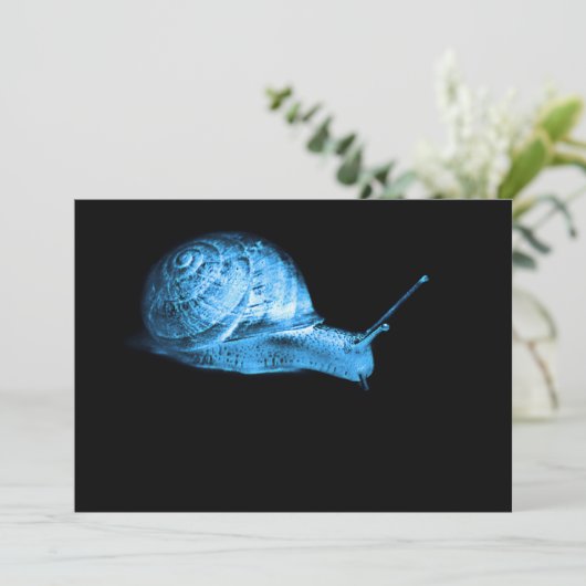 Neon snail (Standing Front)