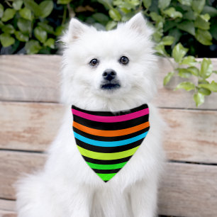 Neon stripes pet bandana collar