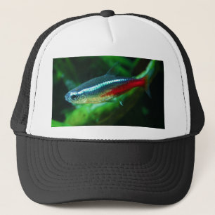 Neon Tetra Fish Paracheirodon Innesi Trucker Hat
