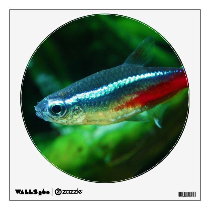 Neon Tetra Fish Paracheirodon Innesi Wall Decor