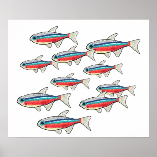 Neon Tetra Poster