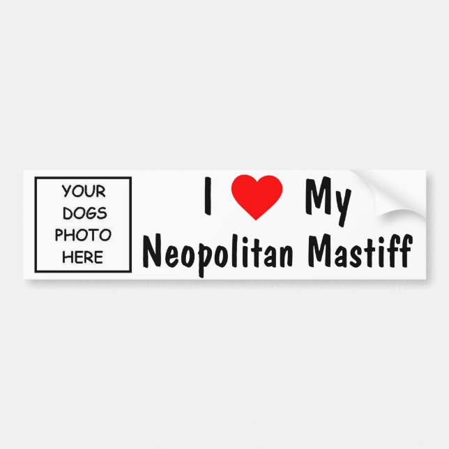 Neopolitan Mastiff Bumper Sticker (Front)