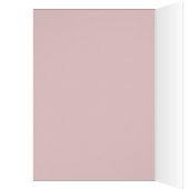 Neopolitan Mastiff DIVA (Inside (Left))