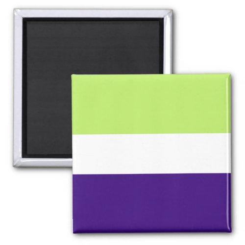 Neopronoun Pride Flag  Magnet