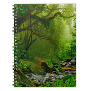 Nepal jungle with riverjungle,forest,ground,river, notebook