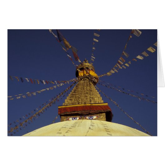 Nepal, Kathmandu. Under prayer flags, watchful Cards (Front Horizontal)