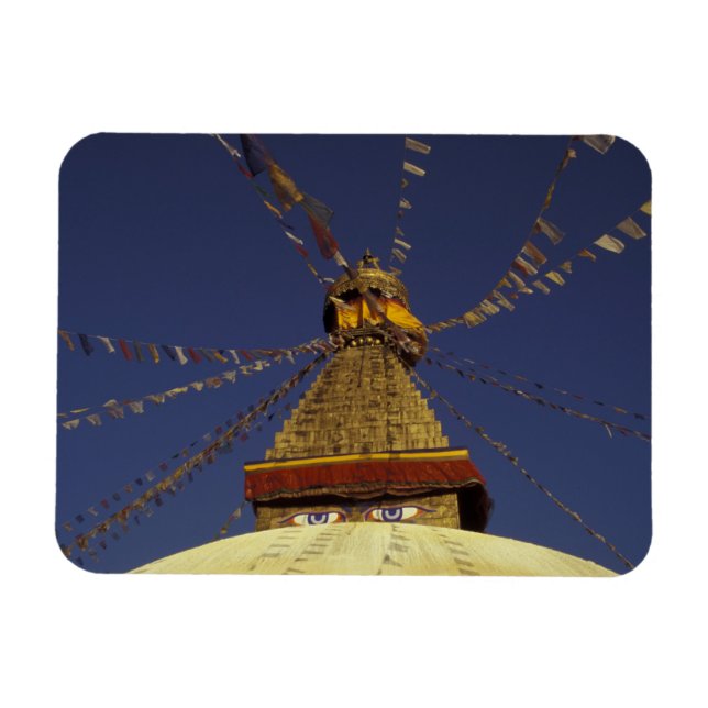 Nepal, Kathmandu. Under prayer flags, watchful Magnet (Horizontal)