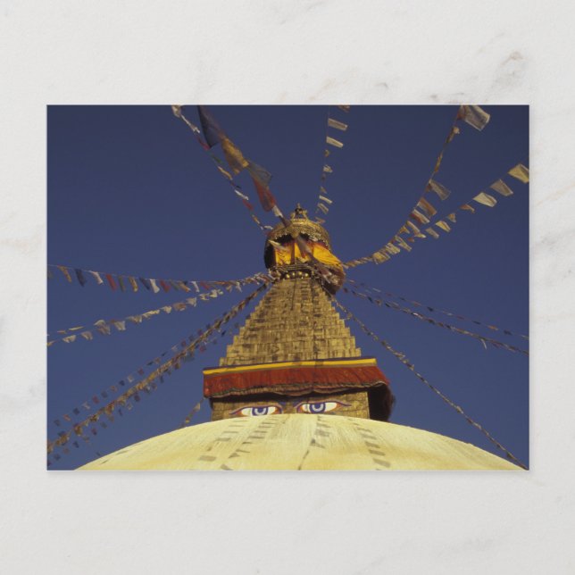 Nepal, Kathmandu. Under prayer flags, watchful Postcard (Front)