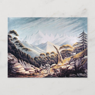 Nepalese Herdsmen in the Himalayas, 1826 Postcard