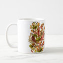 Nepenthaceae Mug