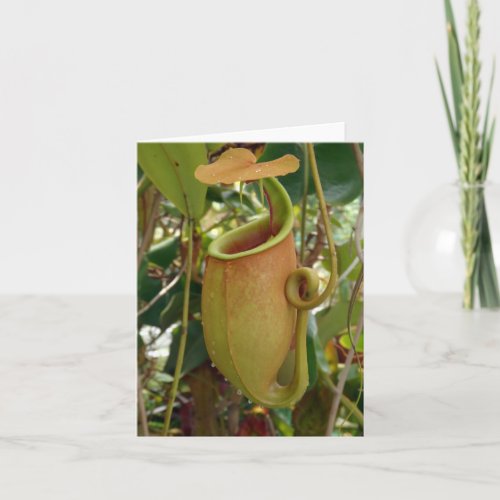 Nepenthes carnivorous plant Folded Note Card