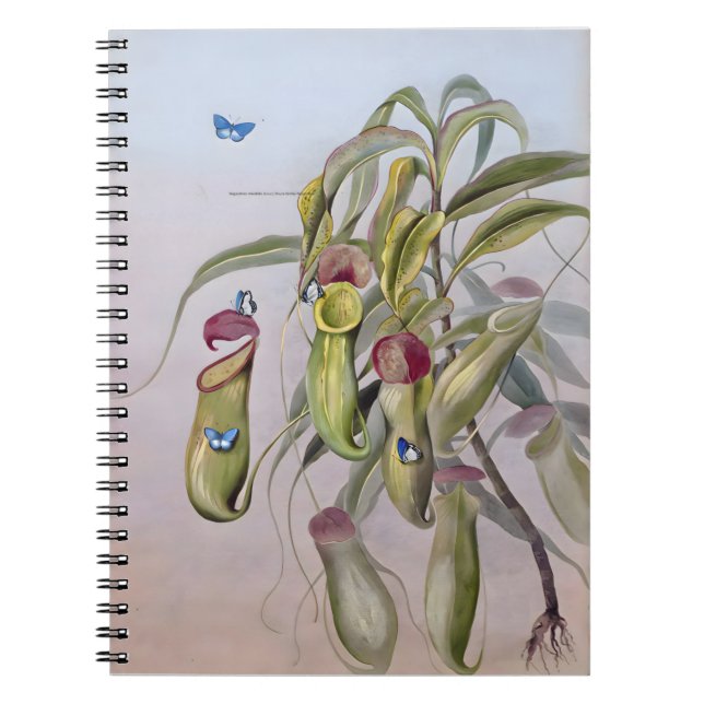 Nepenthes Plant Drawings, Anniversary Notebook (Front)