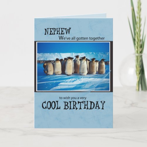 Nephew Birthday Penguins From Us Group Card
