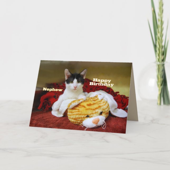 Nephew Happy Birthday Kitten with Toy Tiger Card (Front)