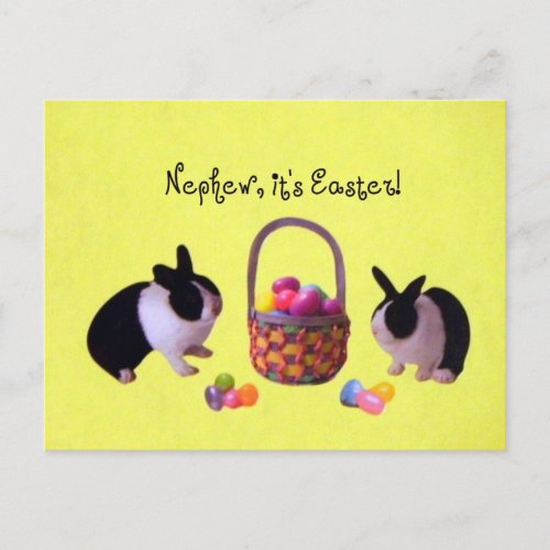 Nephew its Easter Holiday Postcard