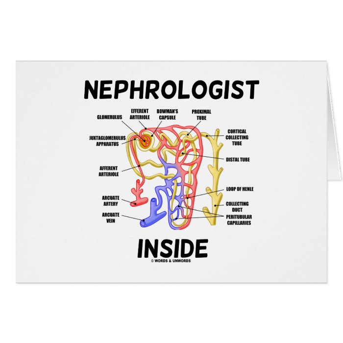 Nephrologist Inside (Kidney Nephron) Cards