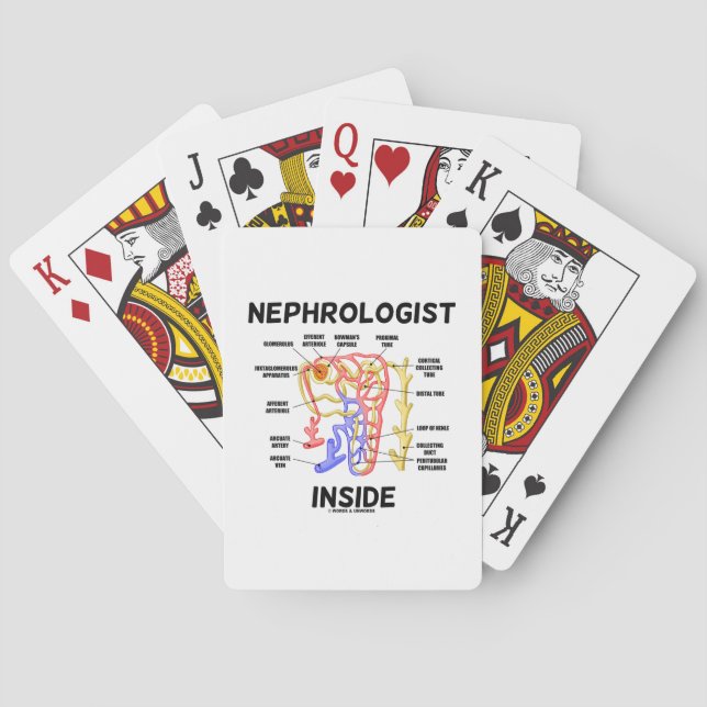 Nephrologist Inside (Kidney Nephron) Poker Cards (Back)