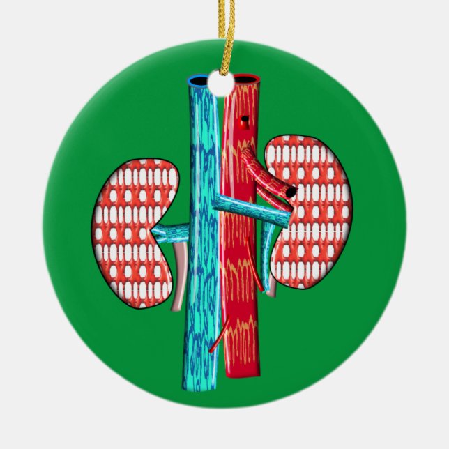 Nephrology Artsy Kidney Design  Ceramic Ornament (Front)