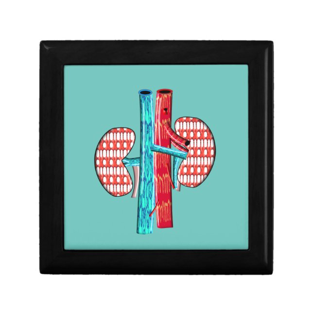 Nephrology Artsy Kidney Design  Gift Box (Front)