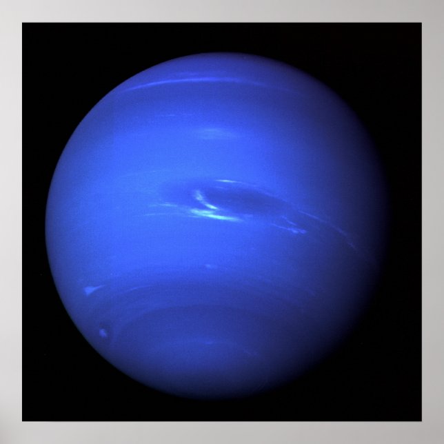 Neptune Poster (Front)