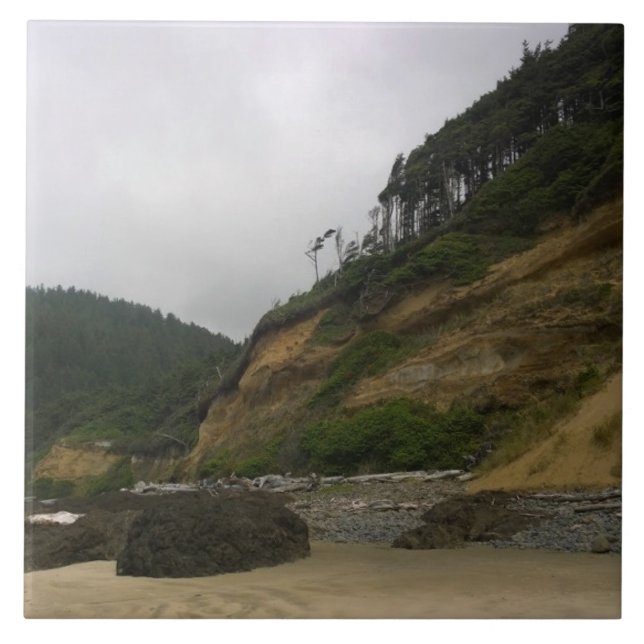 Neptune State Park, OR Ceramic Tile (Front)