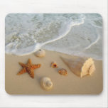 Neptune&#39;s Gifts (shells) Mouse Pad at Zazzle