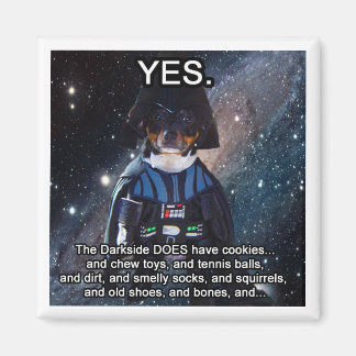 Nerdy Dog does the Darkside Magnet