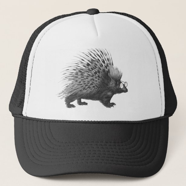 Porcupine Hats & Caps | Zazzle