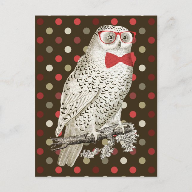 Nerdy Vintage Snowy Owl Postcard (Front)