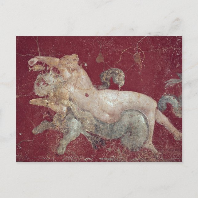Nereid astride a sea tiger, from Stabiae Postcard (Front)
