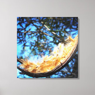 Nerium Oleander Gallery Stretched Canvas Print