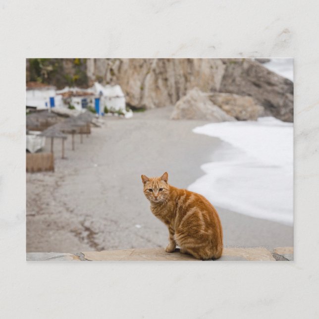 nerja malaga andalusia spain postcard (Front)