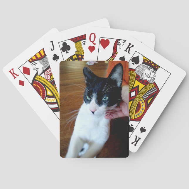 Nero the cat poker cards (Back)