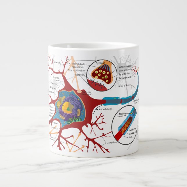 Nerve Cell Diagram Science Giant Coffee Mug (Front)