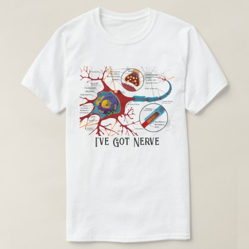 Nerve Cell Diagram Science  T_Shirt