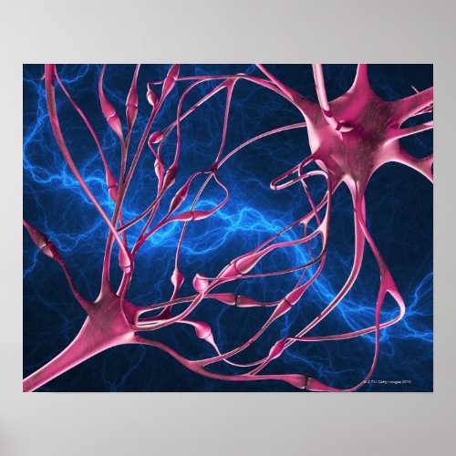 Nerve synapses computer artwork poster