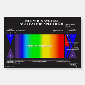 Nervous System Activation Spectrum Foam Board