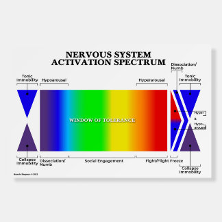 Nervous System Activation Spectrum & Guide 2-Sided Foam Board