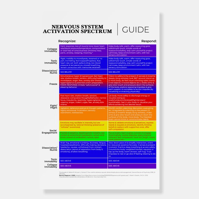 Nervous System Activation Spectrum Guide  Foam Board (Front)