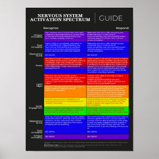 Nervous System Activation Spectrum Guide Poster