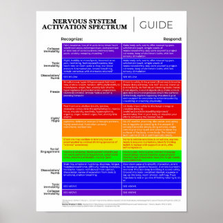 Nervous System Activation Spectrum Guide Poster