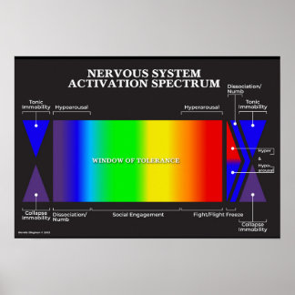 Nervous System Activation Spectrum Poster